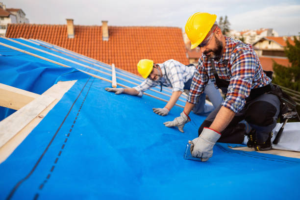 Best Shingle Roofing Installation  in Thompsonville, PA