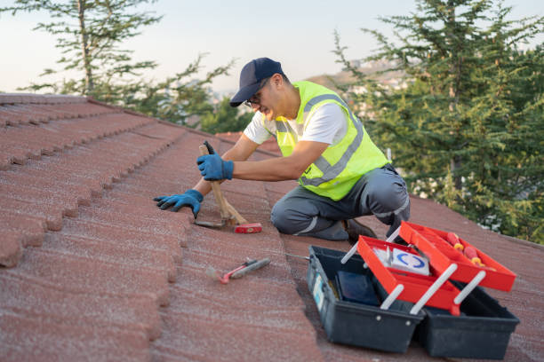 Best Roof Gutter Cleaning  in Thompsonville, PA